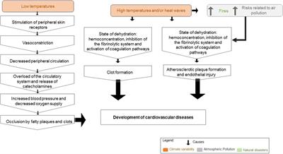 The Influence of Climate, Atmospheric Pollution, and Natural Disasters on Cardiovascular Diseases and Diabetes Mellitus in Drylands: A Scoping Review